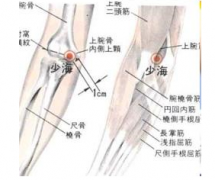 按摩少海穴有哪些好處，少海穴的準確位置怎么找？