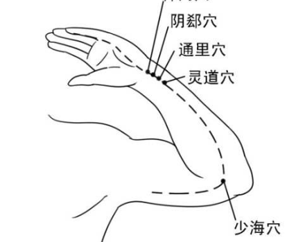 少海穴的圖片