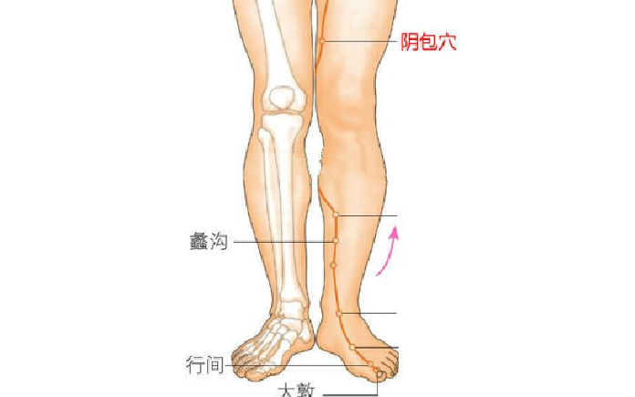 陰包穴的功效與作用