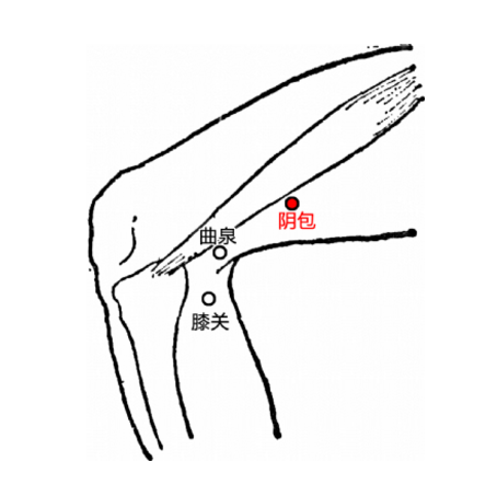 陰包穴有疏肝理氣的功效，它的準(zhǔn)確位置你知道在哪嗎？
