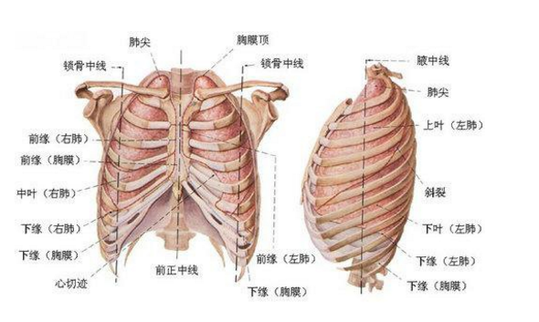 肺、胸膜阿米巴病的診斷方法