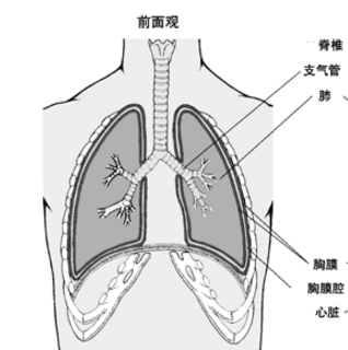 肺、胸膜阿米巴病會傳染嗎？它的癥狀表現及其治療方法有哪些？