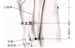 中醫按摩手五里穴的好處