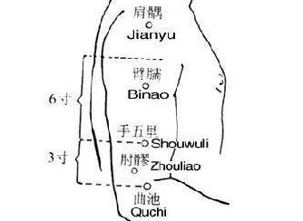 手五里的功效與作用