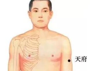 天府穴的準確位置圖