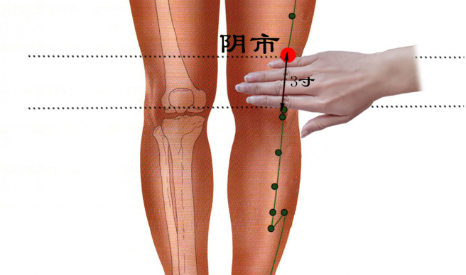陰市穴治療糖尿病