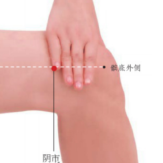 按摩陰市穴能治療糖尿病？它的準(zhǔn)確位置及其功效與作用有哪些？