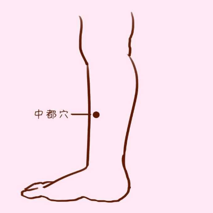 中都穴的準確位置及按摩中都穴的功效與作用有哪些？