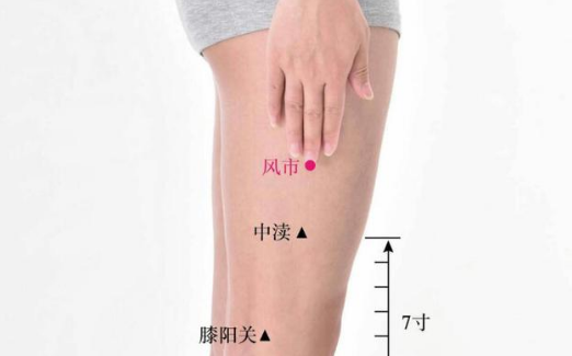 中瀆穴的功效與作用