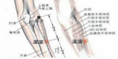 溫溜穴準確位置怎么找？
