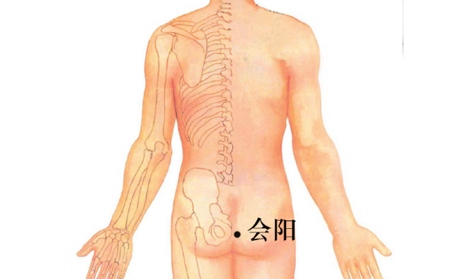 會陽穴主治疾病
