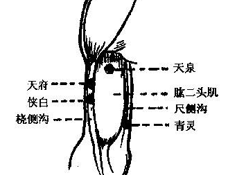 俠白穴主治疾病