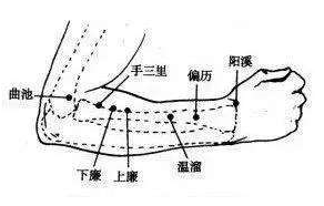 下廉穴的圖片