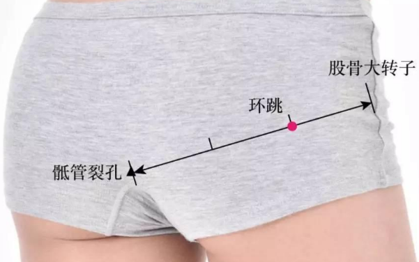 環跳穴位置