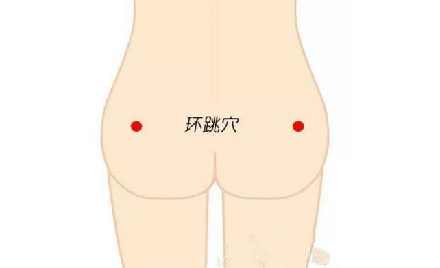 環跳穴穴位配伍