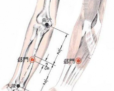 推拿郄門穴治療心絞痛，郄門穴的準(zhǔn)確位置及其功效與作用有哪些？