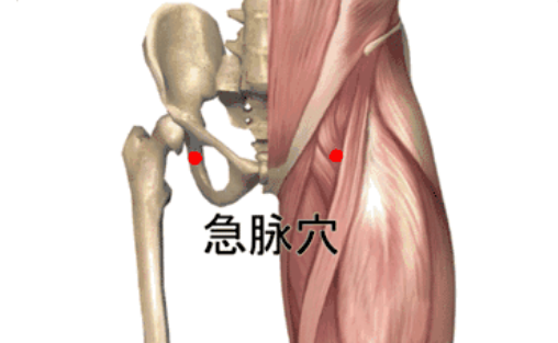 急脈穴的功效與作用
