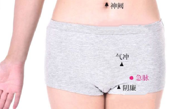 急脈穴主治疾病