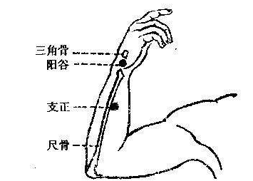 支正穴的功效與作用