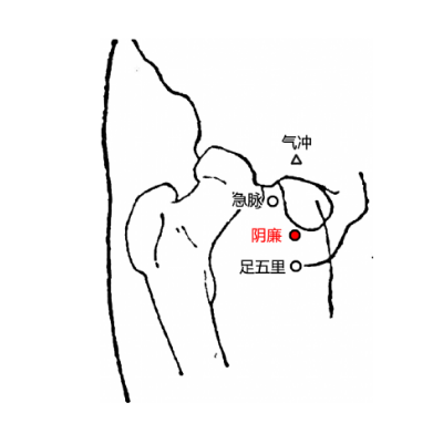 常按陰廉穴能調(diào)經(jīng)助孕，它的準(zhǔn)確位置及其按摩的功效與方法有哪些？