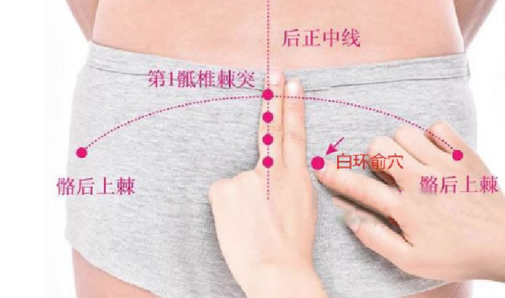白環俞穴位置