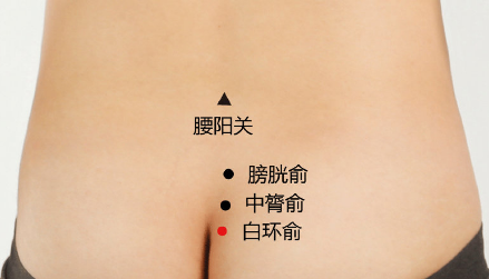 白環俞穴穴位配伍