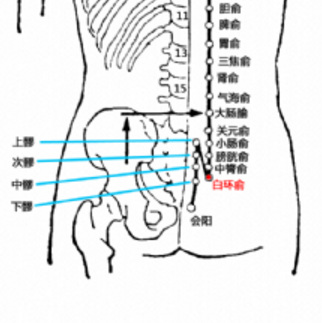 白環俞穴的準確位置在哪？它的取穴方法及其功效與作用有哪些？