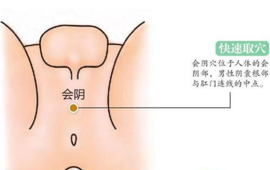 會陰穴的圖片