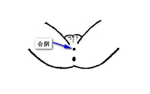 會陰穴穴位配伍