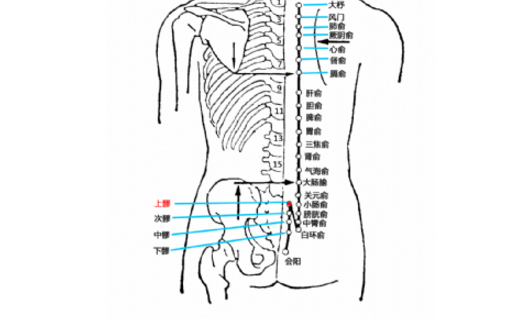 上髎穴圖片