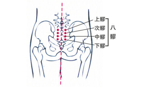 上髎穴的功效與作用