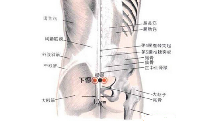 下髎穴的圖片