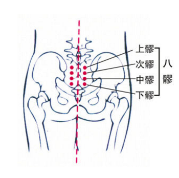 中髎穴的準確位置及其按摩中髎穴的功效與作用有哪些？