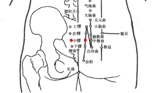 中髎穴的圖片