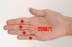 四縫穴的功效與作用有哪