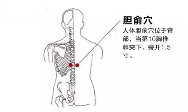 膽俞穴穴位配伍