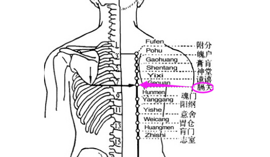 膈關(guān)穴位置
