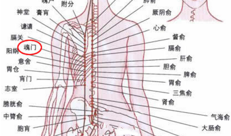 按摩魂門穴的好處
