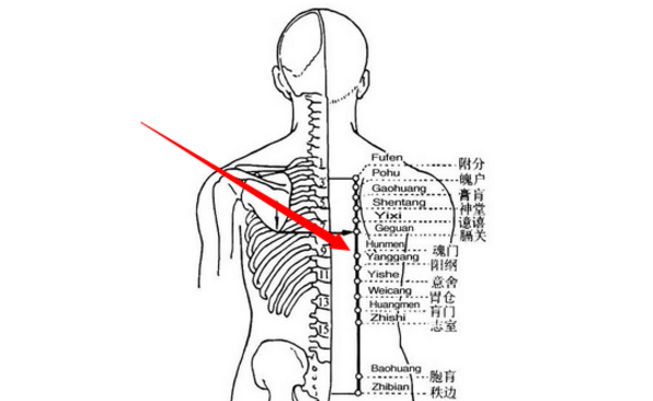 魂門穴位置