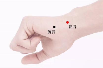 陽(yáng)谷穴位位置