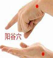 陽(yáng)谷穴的圖片
