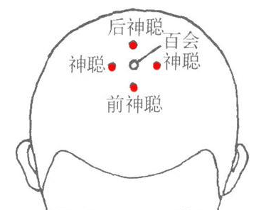 百會穴的功效與作用