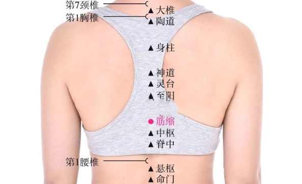 筋縮穴位置