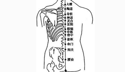 筋縮穴的按摩方法