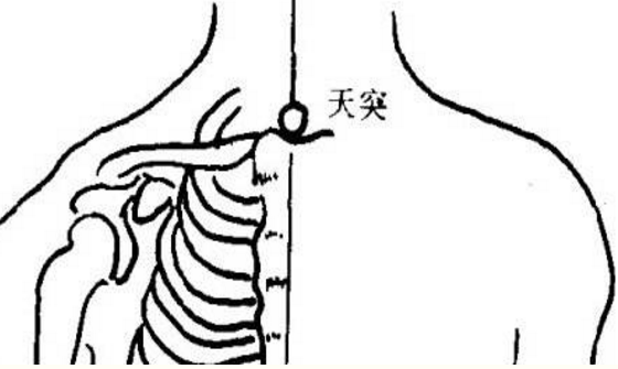 天突穴的準確位置圖