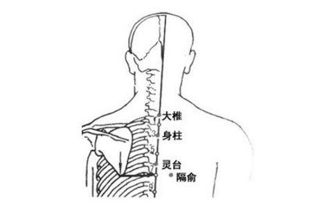 靈臺穴的圖片