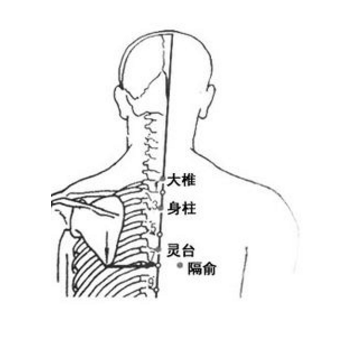 靈臺穴疼痛怎么回事？它的準確位置及按摩靈臺穴的功效與作用有哪些？
