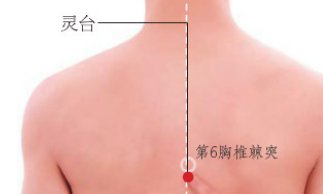 靈臺穴主治疾病