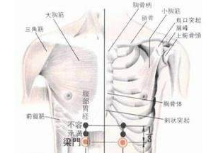 梁門穴的圖片
