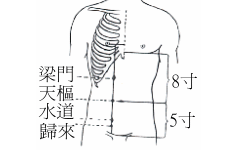 梁門穴的功效與作用